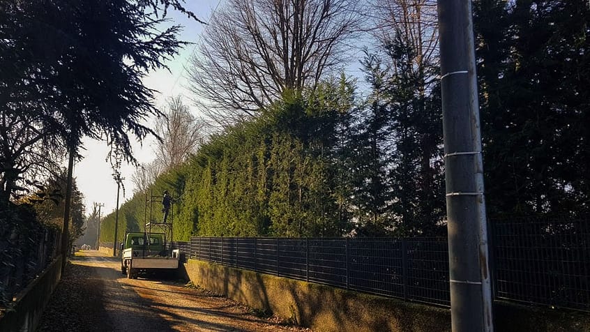 Manutenzione del verde