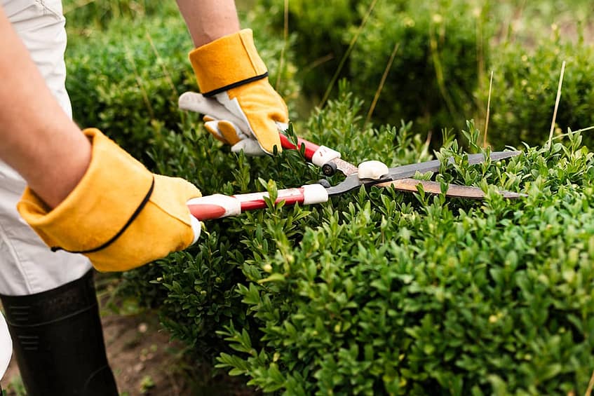 Chi Siamo- AM Soluzioni Verdi